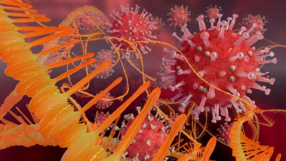 Noua variantă de coronavirus a primit numele de OMICRON. Mai multe țări introduc restricții de călătorie spre Africa de Sud și țările din regiune