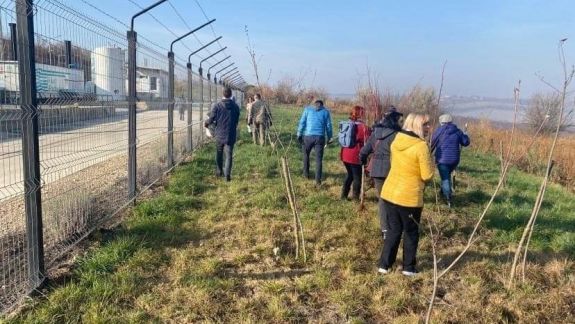 Peste 11.000 de arbori, plantați sâmbătă în capitală