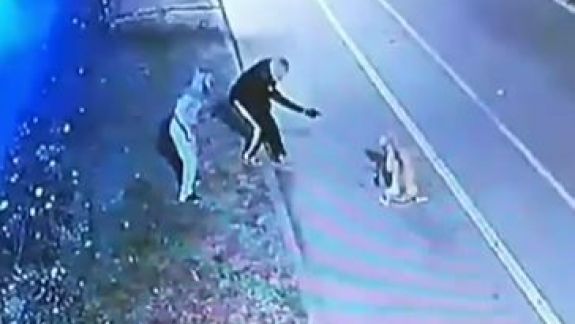 Pit bull, împușcat la Valea Morilor: Întrebări fără răspunsuri, deși au trecut deja cinci zile de la incident