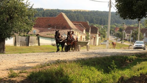 Tinerii din țară vor avea la dispoziție 700 de mii de lei pentru a-și pune în practică inițiativele la nivel local