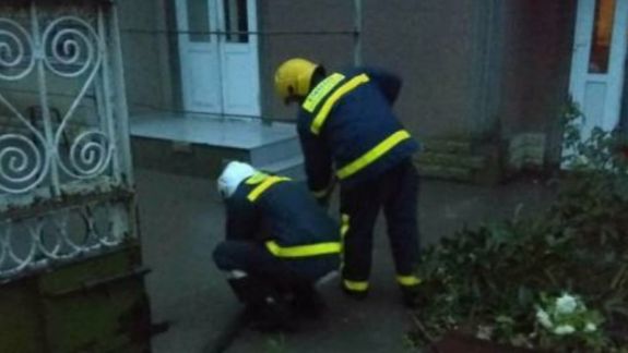 Zeci de copaci doborâți și subsoluri inundate după ploile puternice. A fost nevoie de intervenția salvatorilor