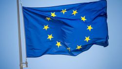 Poziția UE după „turbulențele” politice: Facem apel la calm, găsiți o cale de dialog