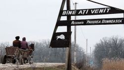Vânătoarea va fi din nou permisă la Pădurea Domnească, a decis Guvernul Chicu. Munteanu: Un atac brutal la adresa mediului
