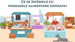 Ce se întâmplă cu produsele alimentare expirate? Soluția unui antreprenor: Le transformă în mâncare pentru câini (VIDEO)