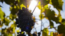 Cer parțial noros și temperaturi de până la +28 C în timpul zilei. Cum va fi această zi de toamnă în toată țara