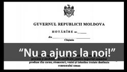 Hotărârea privind importul de carne! Agenția Consumatorului: „Acest document NU a ajuns la noi!”