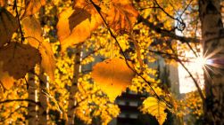 Prognoza meteo pentru acest weekend: Ce surprize ne pregătește sfârșit de octombrie